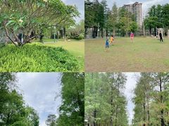 -四海公园(南山区)