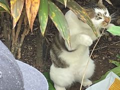 -晓港公园