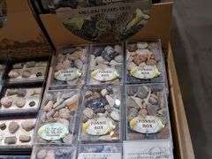 -Behring World of Animals(上海自然博物馆店)