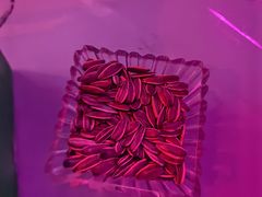 -星歌汇PARTY KTV•观澜兴万达店