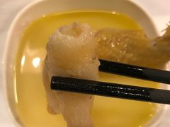 -鲜入围煮花胶鸡海鲜火锅