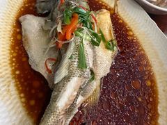 清蒸鲜鲈鱼-古南都·老广东酒楼(龙江店)