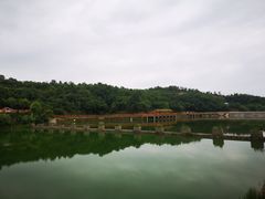 -中国西峡恐龙遗迹园