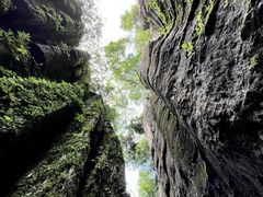 -山王坪喀斯特国家生态公园