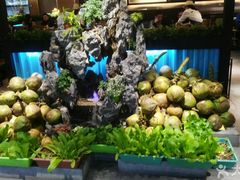 -东椰·海南椰子鸡火锅(朝阳门店)