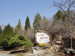 -白水寺森林公园
