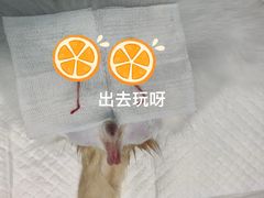 -爱诺耐芙动物医院(万博店)