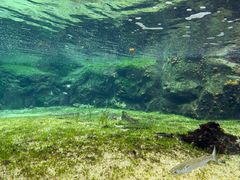 -西海国立公园九十九岛水族馆