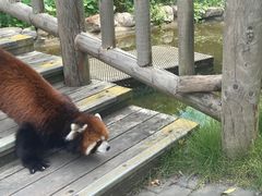 -常州淹城野生动物世界