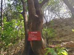 -攀枝花公园