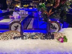 -加餐海鲜自助(宝龙一城店)