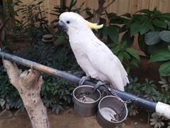 -南宫五洲植物乐园