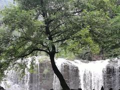 -刘伯温故里景区百丈漈