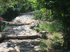 -北京鹫峰国家森林公园