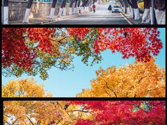 -八大关景区