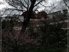 -宗角禄康公园