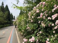 -太阳湾风景区