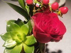 -晓粤·惹味粤菜(万菱汇店)