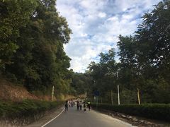 -火炉山森林公园