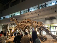 -自贡恐龙博物馆
