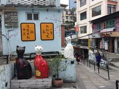 -猫咪博物馆(顶澳仔猫街店)