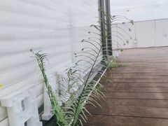-悦吧·360°全景天台酒吧(象山店)