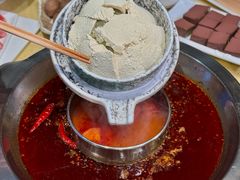 -田鸭肠·非遗火锅(彭州店)