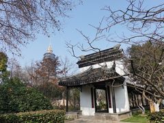 -红梅公园