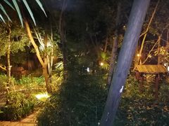 -青城道汤池