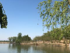 -东方巨龟苑景区