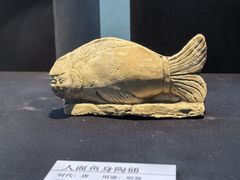 -安阳博物馆