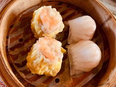 -憶廟街 X 沙角邨(太古城店)