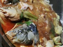 -肥鱼屯活鱼锅(惠工街店)