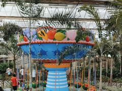 -南宫五洲植物乐园