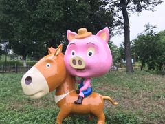 -田园东方蜜桃村的田野营地