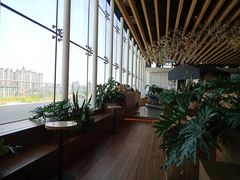 -Seesaw Coffee(朝阳大悦城店)