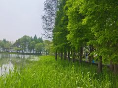 -渤公岛生态公园