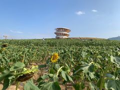 -光明小镇欢乐田园