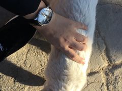 -西宁南禅寺-法幢寺