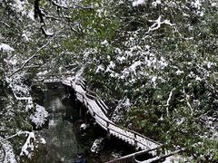 -青城山