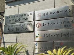 -朱儿面庄(洋河三路店)