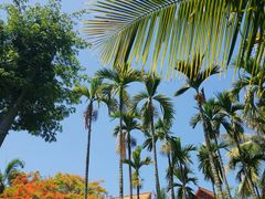 -三亚海棠湾万丽度假酒店