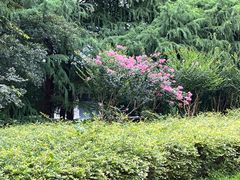 -上海市公安局出入境管理总队