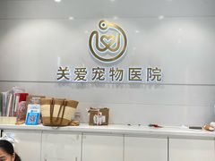 -关爱宠物医院·猫科中心·消化科(滨湖万达分院)