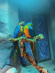 -Zoolung Zoolung动物主题公园(海信广场店)