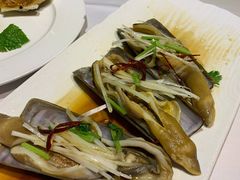 油泼特大蛏子-开海·红岛海鲜虾水饺(石老人店)