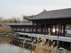 -水西公园