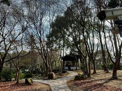 -秋霞圃