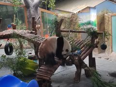 -青藏高原野生动物园