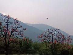 -秦岭风景区